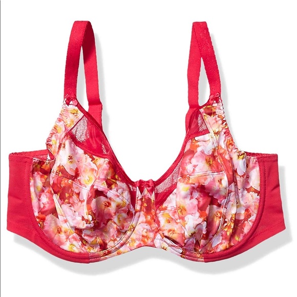 Goddess Other - Goddess Kayla Underwire Banded Bra